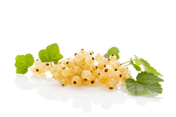 Canvas Print - Delicious white currant.