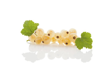 Canvas Print - Delicious white currant.