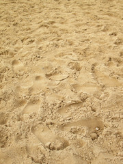 Poster - sea sand with footprints