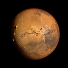 Wall Mural - mars