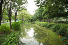 Small Canal In The Public Park