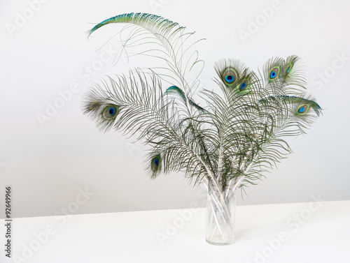 Peacock Feathers In Vase On White Wood Table Buy This Stock