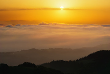 Poster - fog in the valley at sunset