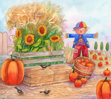 Patch Time - Watercolor Illustration Of A Pumpkin Patch, With Scarecrow, Birds, Pumpkins And Sunflowers.