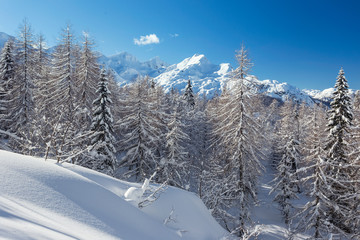 Sticker - Winter landscape near Vogel ski center in mountains Julian Alps