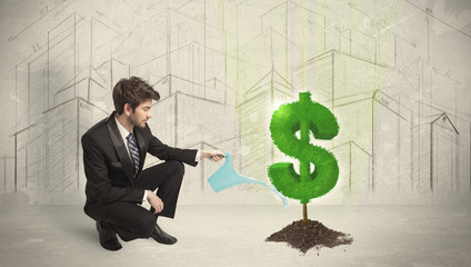 Business man poring water on dollar tree sign on city background