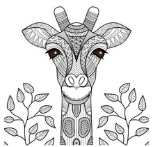 Zentangle Giraffe Head For Coloring Page, Shirt Design And So On.