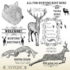 Wall Mural - vector set of engraved hand drawn animals deer, bear, fox and ca