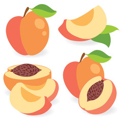 Wall Mural - Peaches vector illustration