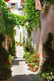 Fototapeta Uliczki - beautiful old town of Provence