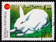Postage stamp Italy 1999 Rabbit