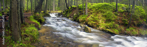 Naklejka na drzwi Prut river in the wild forest