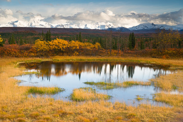 Wall Mural - Fall Color Alpine Lake Alaska Range Mountain Peaks Autumn Season