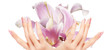 Light Pink  Art  Manicure. Nail. Beauty hands. Fashion Stylish T