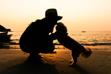 Relaxed Woman And Dog Enjoying Summer Sunset Or Sunrise Over The Sea At The Beach.