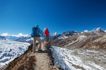 Wall Mural - hiker on the trek in himalayas, khumbu valley, nepal