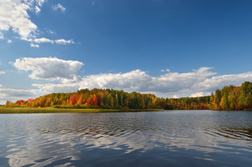 Wall Mural - Landscape colorful autumn forest lake river sky clouds