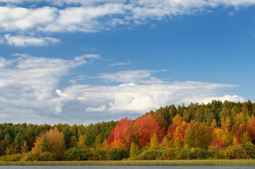 Wall Mural - Landscape colorful autumn forest lake river sky clouds