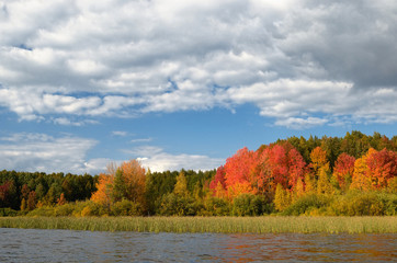 Sticker - Landscape colorful autumn forest lake river sky clouds