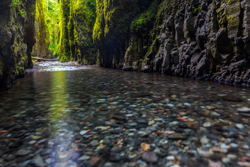 beautiful nature in Oneonta gorge trail, Oregon.