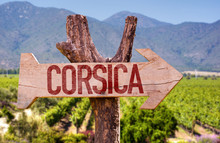 Corsica Wooden Sign With Winery Background