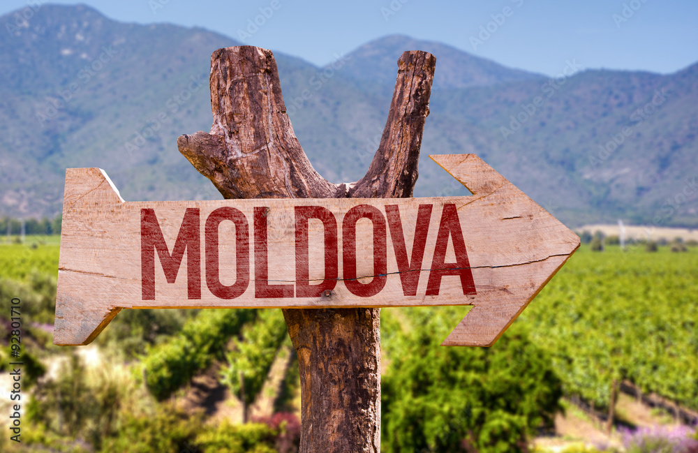 Obraz na płótnie Moldova wooden sign with winery background w salonie