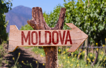 Wall Mural - Moldova wooden sign with winery background