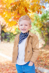 Canvas Print - kid at fall