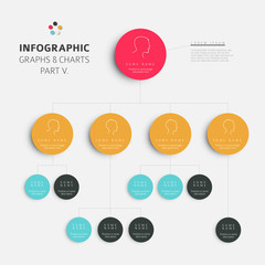 Poster - Set of vector flat design infographic charts and graphs 5