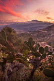 Fototapeta  - Etna Mount in Sicily seen from Taormina; prickly pears on foreground