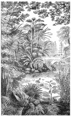 Poster - Landscape of the Miocene period in Lausanne, vintage engraving.