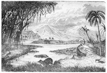 Sticker - Landscape of the Miocene period in France, vintage engraving.