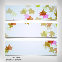 Wall Mural - Set of colorful autumn leaves banners