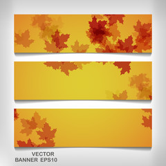 Wall Mural - Set of colorful autumn leaves banners