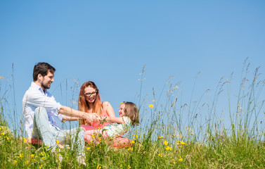 Family holding hands in summer in the grass