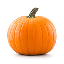 Pumpkin Isolated On White Background
