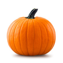 Pumpkin Isolated On White Background