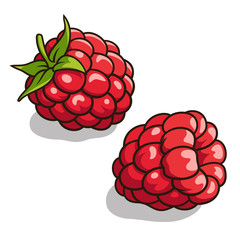 Wall Mural - Raspberries 001