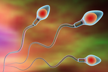 Sperm cells on colorful background