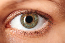 Macro Image Of Human Eye