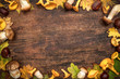 Thanksgiving autumn background