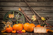 Thanksgiving autumnal still life with pumpkins