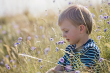 Side View Of A Boy Sitting In A Field, Looking At Wildflower
