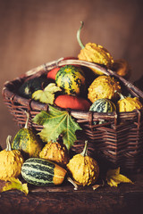 Wall Mural - autumn background