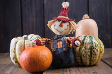 Funny Scarecrow With Pumpkins