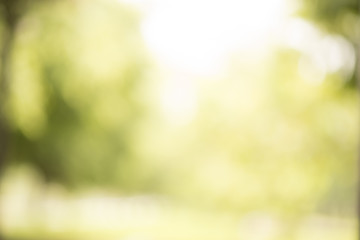 green bokeh