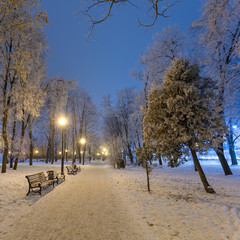 Wall Mural - Footpath in a fabulous winter city park