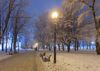 Wall Mural - Footpath in a fabulous winter city park