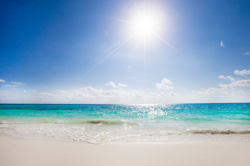 Poster -  Maldives beach