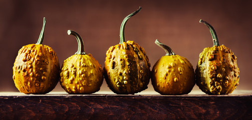 Wall Mural - five pumpkins
